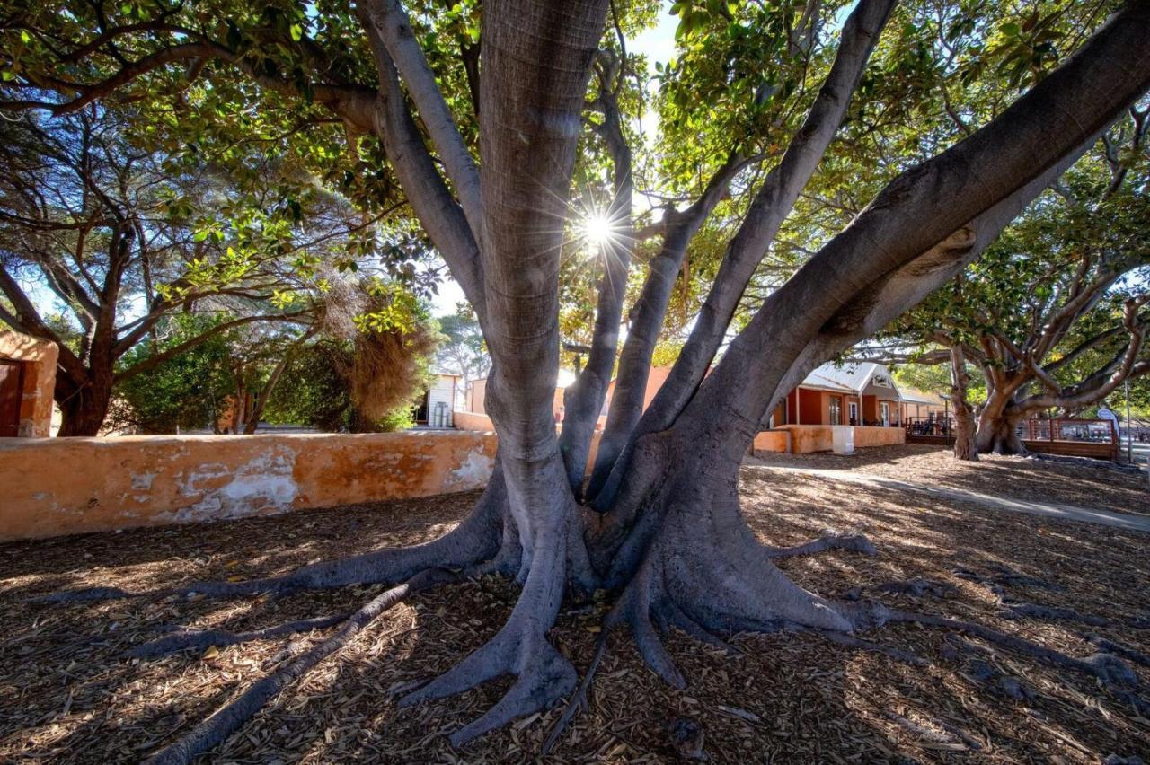 Discovery Resorts - Rottnest Island Exterior foto